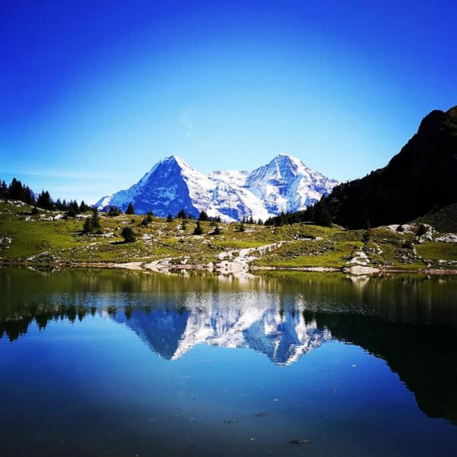 Swisshut Stunning Views Alps Lake - Chalet Erli Därligen Eksteriør billede