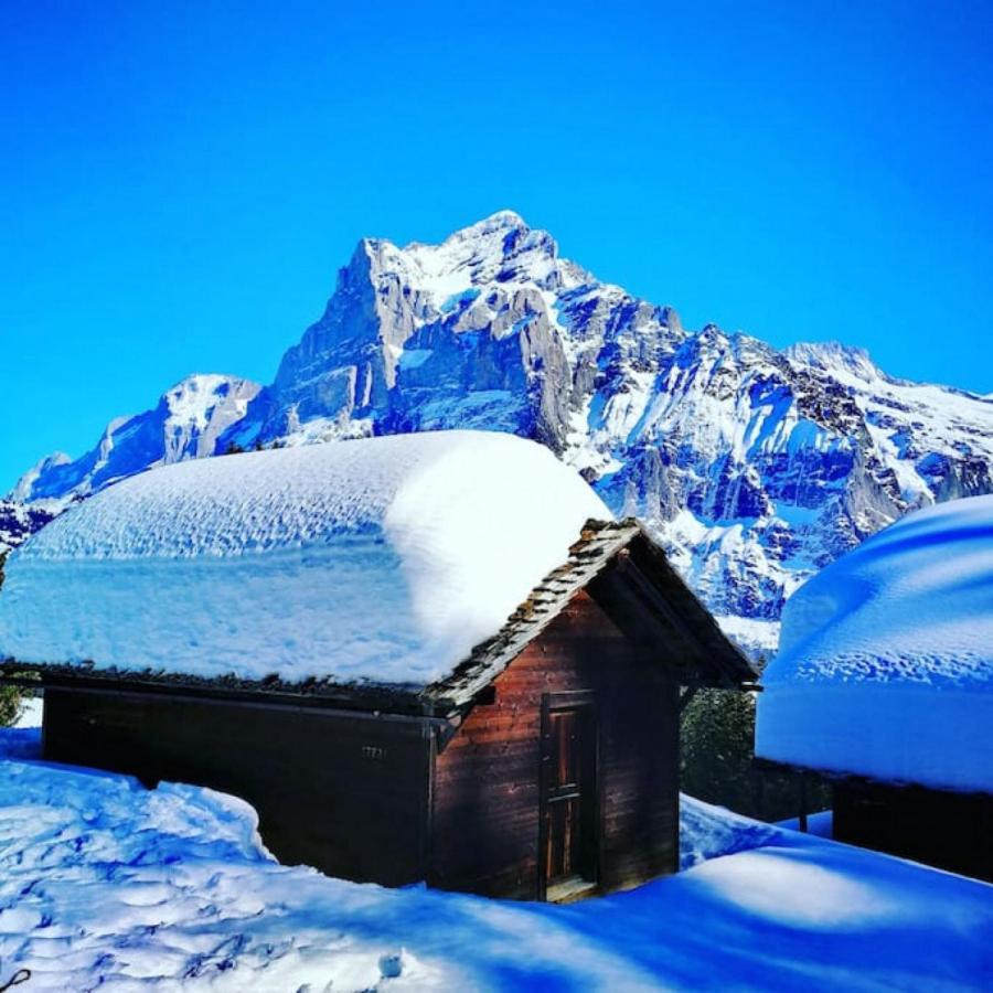 Swisshut Stunning Views Alps Lake - Chalet Erli Därligen Eksteriør billede